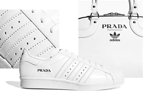 prada und adidas|Prada Adidas price.